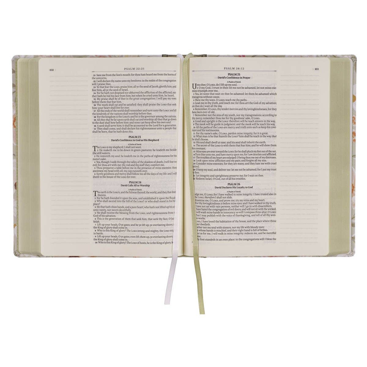 KJV Note Taking Bible Large Print